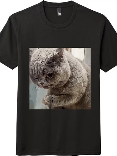 Shirt grafica gatto pelo - t-shirt,