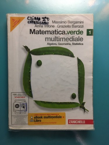 Matematica verde libro di - 1.libro,