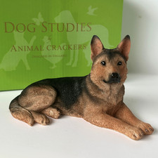 German Shepherd laying