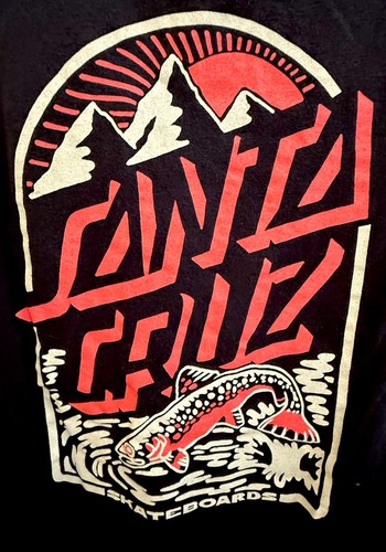 Santa cruz skateboard pesca - santa,