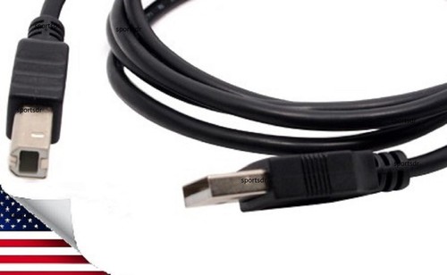 Cavo usb spina - spina, native