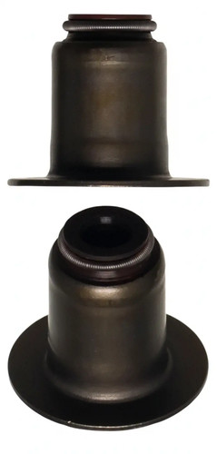Paraolio stelo valvola