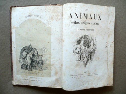 Les animaux celebres - les,