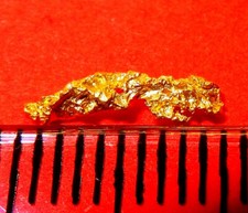 XXL GOLDNUGGET 9,9 mm - pepite