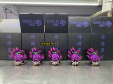 UNO Studio Marshall·D·Teach