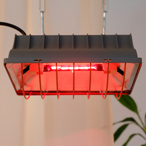 Lampada riscaldante pollaio