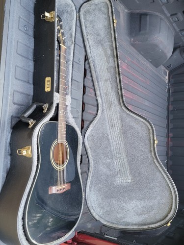 Chitarra elettrica acustica