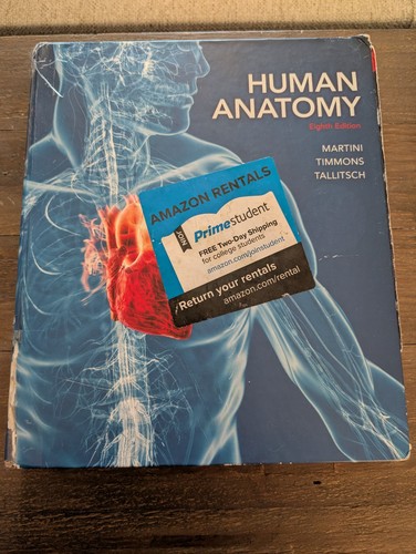 Human anatomy - anatomy,
