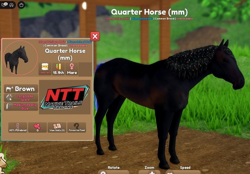 Wild horse islands deep - horse,
