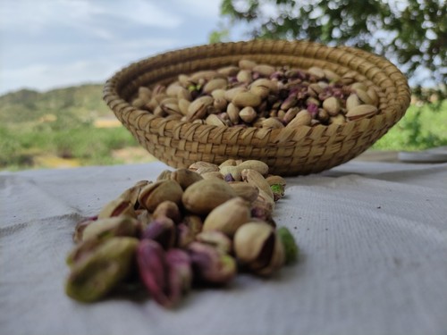 Pistacchio verde p di - pistacchio, d.o.p