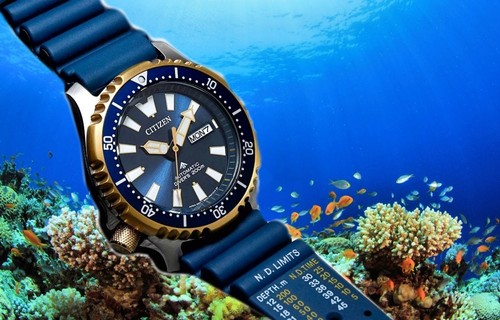 Citizen promaster fugu - citizen,