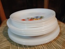 Piatti Arcopal spaiati