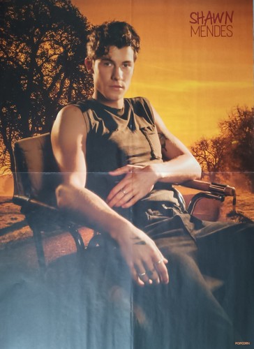 Shawn mendes poster xl - -,