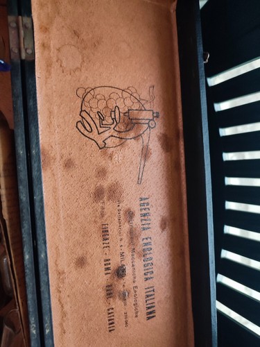 Enologica italiana vintage - italiana,