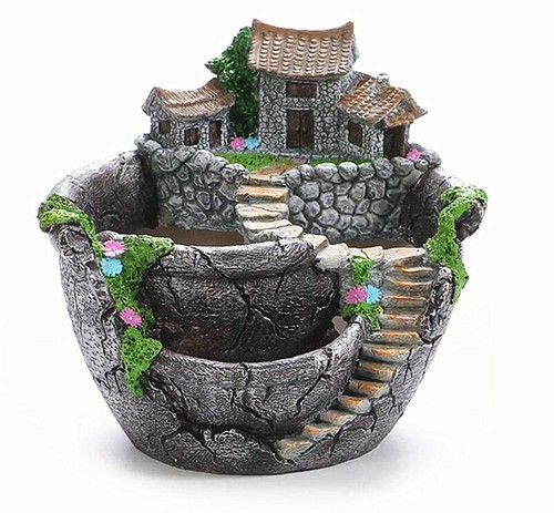 Vaso per piante succulente