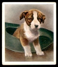 Godfrey Phillips ‘’Our