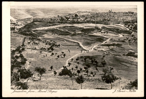 Judaica palestine old - judaica, postcard
