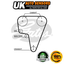 Cinghia Distribuzione Adatto