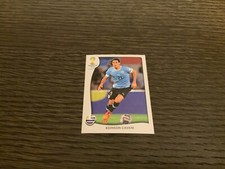 BRASILE 2014⚡️PANINI⚡️PLATINUM EDITION⚡️EDINSON CAVANI⚡️FIGURINA N° P18