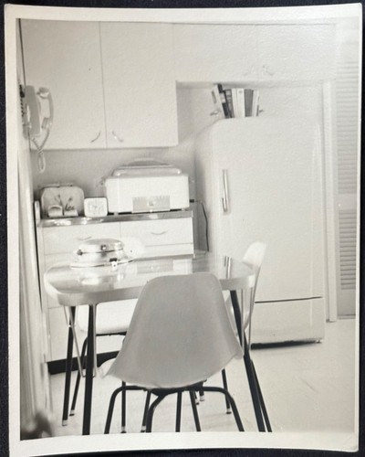 Cucina metà secolo interno