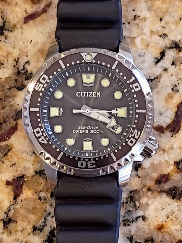 Nuovo citizen promaster - nuovo, dive