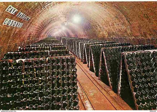 Carte postale vignes caves - carte,
