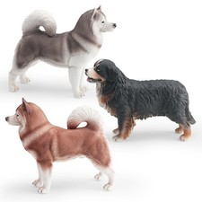 Cane da montagna bernese