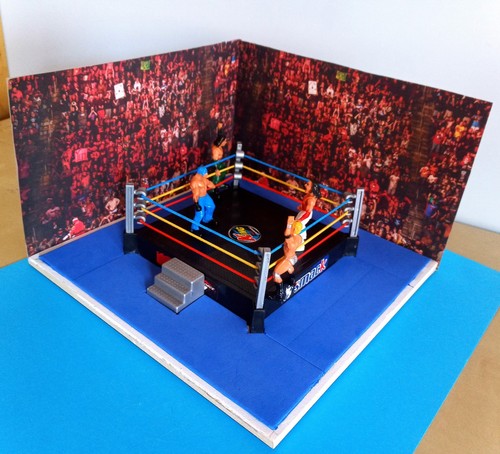 Diorama artigianale ring - diorama,