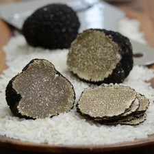 Funghi Tartufo Nero per