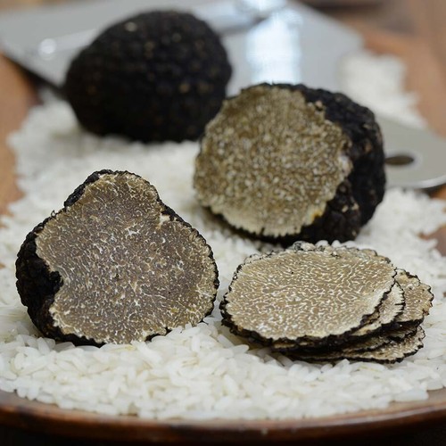 Funghi tartufo nero - funghi,