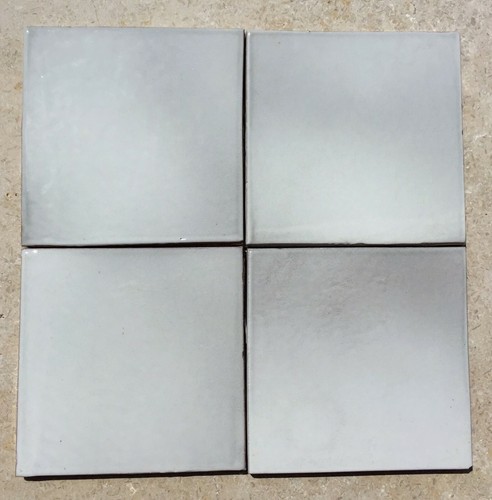 Truite clair piastrella - truite,
