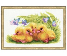 RIOLIS - Kit per Realizzare Un Quadro a Punto Croce Motivo anatrocco