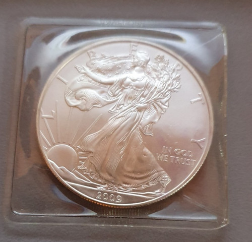 Dollaro argento fine - 1, oz