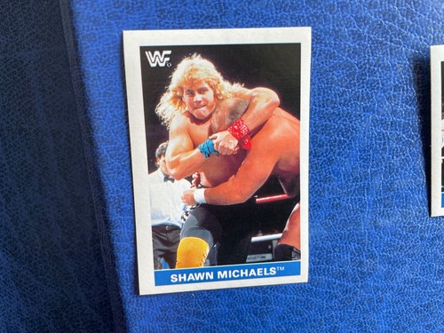 Wwf wrestling titan sports - wwf,