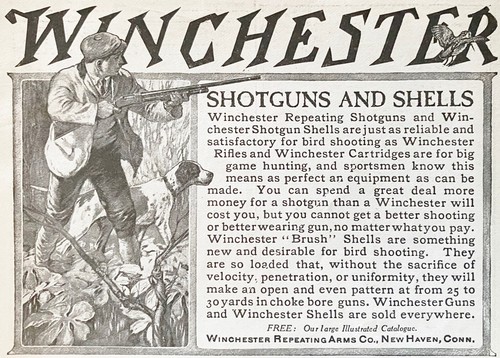 Winchester fucili conchiglie - fucili,