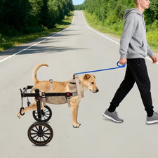 Sedia a Rotelle per Cani,Zampe