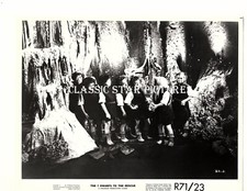 1B428 I sette nani in soccorso