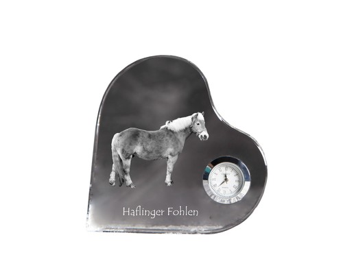 Haflinger fohlen orologio - haflinger, a