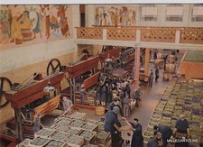 # S. VITTORIA D'ALBA: CINZANO