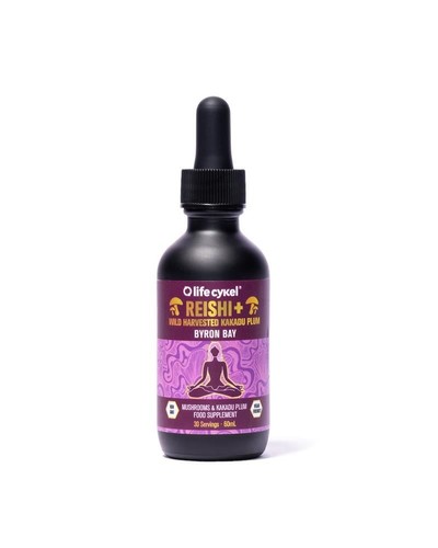 Lifecykel reishi fungo - reishi,
