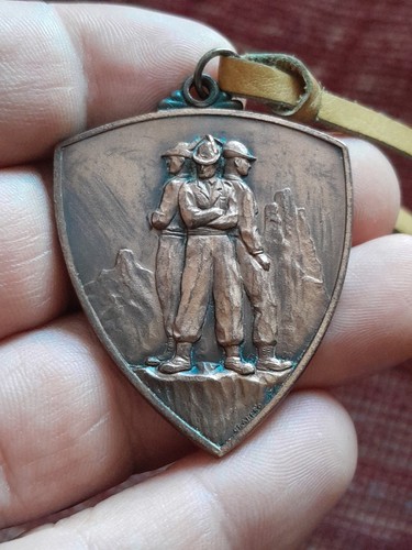 Medaglia alpini smaltata iv - medaglia,