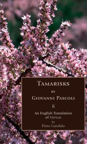 Tamarisks english - an,