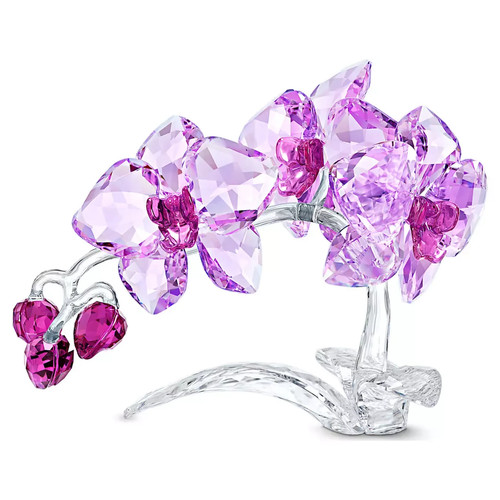 Swarovski cristallo paradiso - swarovski,