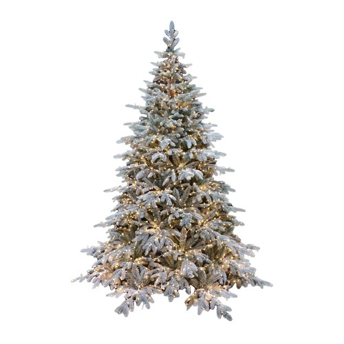 Albero natale pino - albero,
