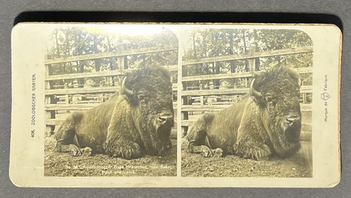 Veduta fotografica stereo