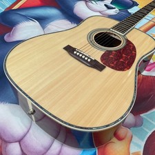 Chitarra elettrica acustica