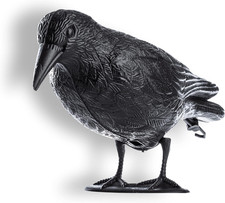 Corvo Nero Scaccia Piccioni