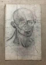 Disegno antico, studio di