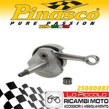 PINASCO RACING CONE 19 EARLY
