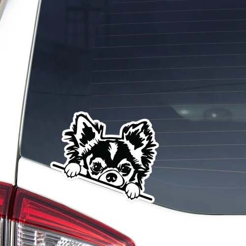Adesivo auto peeking chihuahua - peeking,